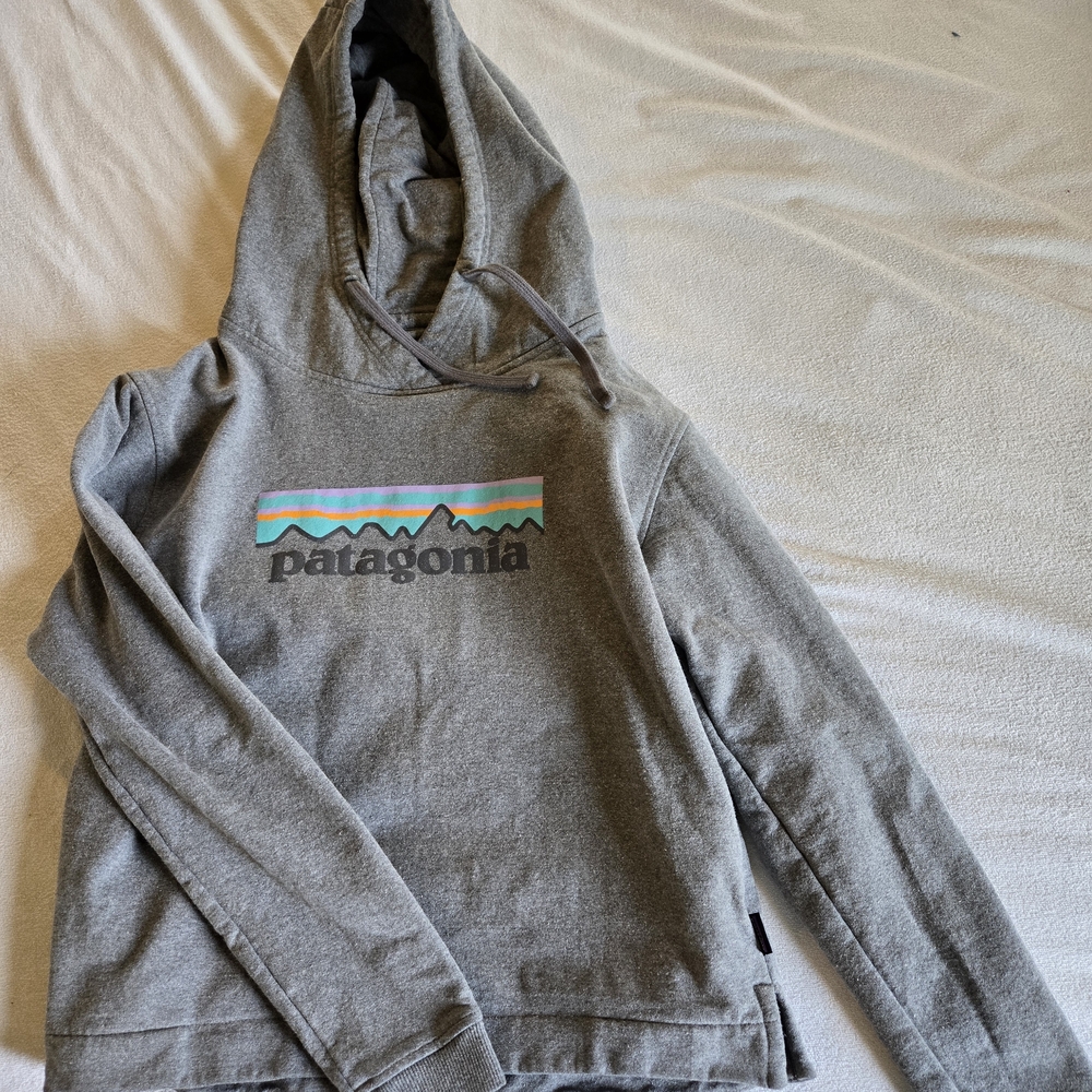 Patagonia Gray Hoodie with Teal, Orange & Pink Mountain Stripe